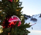 Новогодние каникулы на Эльбрусе продлятся 14 дней