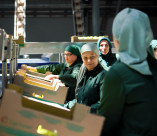 Кавказ.РФ и hh.ru запустили карьерный портал для регионов Северного Кавказа