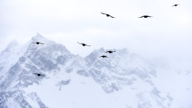 Интерфакс: Курорт «Эльбрус» принял первых посетителей после закрытия из-за коронавируса