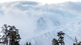 ТАСС: Первый замглавы Минэкономразвития РФ и глава Ростуризма вошли в совет директоров КСК