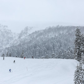 Минэкономразвития России готовит второй пакет мер для поддержки экономики, в частности туристической отрасли, общепита и гостиниц