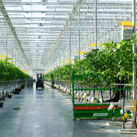 Первые круглогодичные теплицы Ингушетии готовятся к официальному запуску