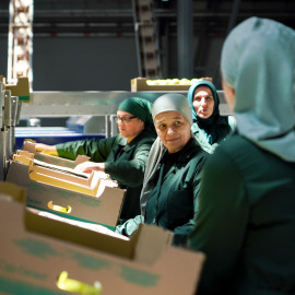 Кавказ.РФ и hh.ru запустили карьерный портал для регионов Северного Кавказа