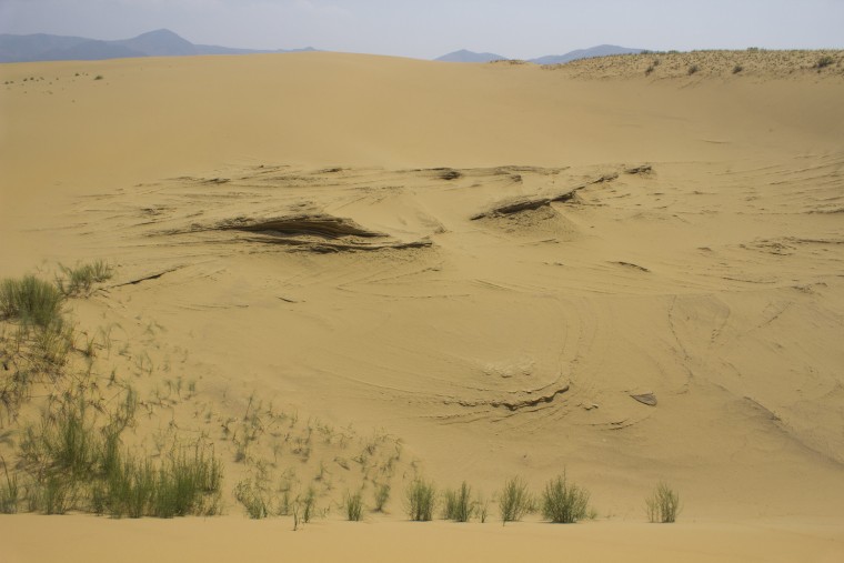 sarikum-barkhan.jpg